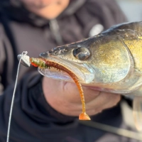 Westin Wiggle Worm Creaturebait 11cm